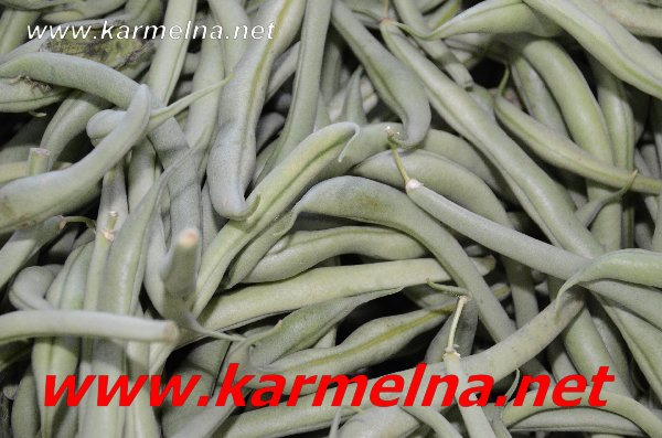 خضار وفواكة ربيع ابو الزلف